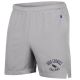 Champ Men 5 in shorts Grey 24